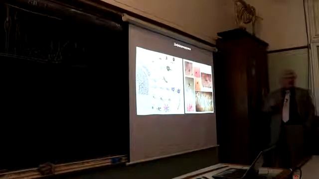 Как устроена нервная система человека. Лекция Савельева С.В. Часть 1