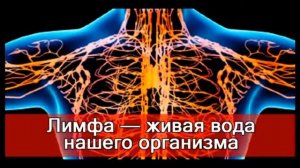 Как быстро почистить лимфу в домашних условиях