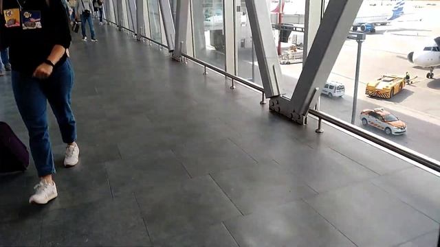 Айрапорт пулкова Санкт-Петербург смотреть онлайн