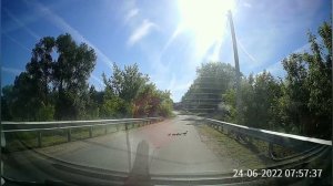 утка с утятами переходят дорогу