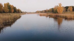 Карась клюет на это лучше чем на мотыля и манку! Как ловить карася на макароны?