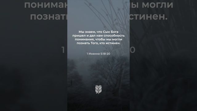 1 Иоанна 5:18-20 в современном переводе #biblevision