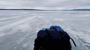 Барбос от Балтмоторс)