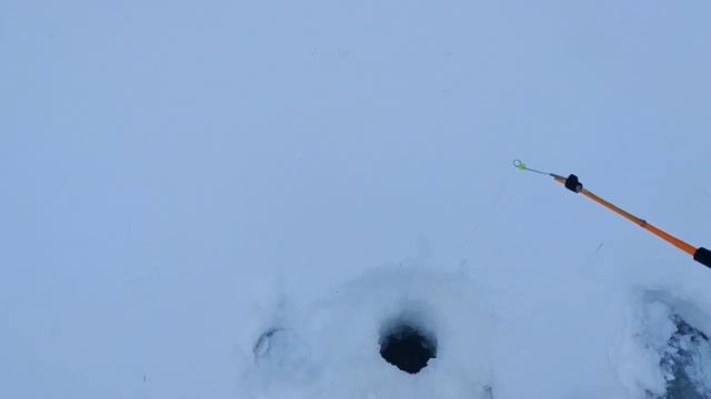 ХАРИУС в глухозимье ! 12.02.2023 г