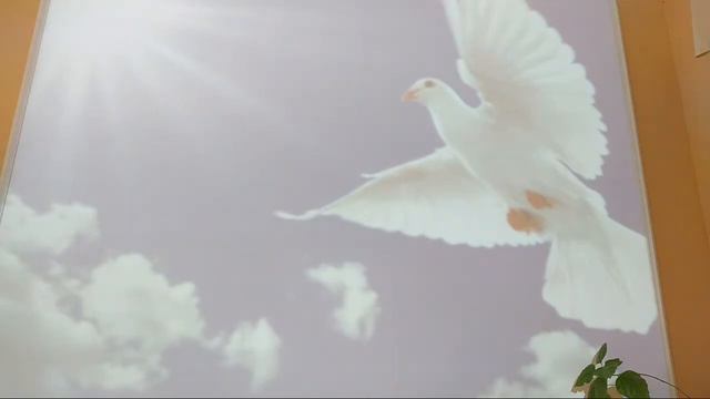 Богослужение 28.01.2023 смотреть онлайн