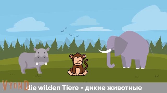 Hallo Zusammen! Учи немецкий легко по видео. Урок 16. Тема "Дикие животные/В зоопарке"