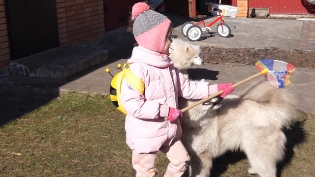 VLOG Нас ещё и затопить может. Спрятались в подвал, но ложная тревога. Украина. 25 февраля смотреть онлайн