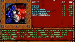 Let's Play "Treasures of the Savage Frontier" Part 01 - Darn you Aminitas, warn us next time!