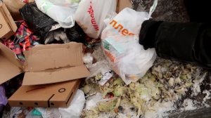 ЛАЗАЯ ПО МУСОРКАМ РОССИИ ПОИСК МЕТАЛЛОЛОМА БЕЗ МЕТАЛЛОИСКАТЕЛЯ НА СВАЛКЕ КАК ЗАРАБОТАТЬ ДЕНЬГИ? #14