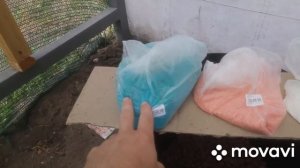 Гидропоника удобрения использую для клубники и помидор