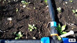 Как сделать Капельный полив своими руками.