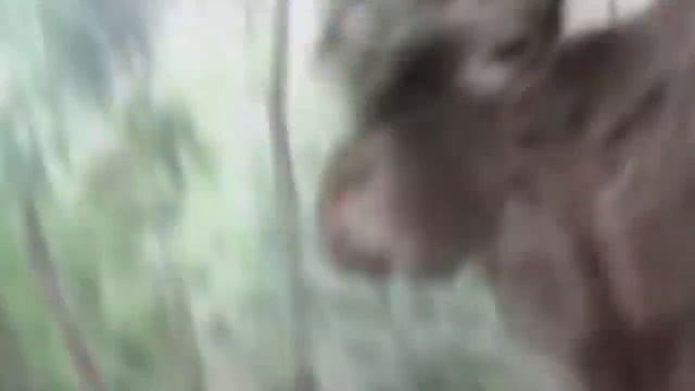 РЕАЛЬНЫЕ ПРИШЕЛЬЦЫ СНЯТЫЕ НА КАМЕРУ... смотреть онлайн