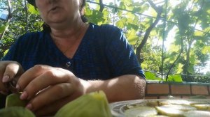 Фрипсы из инжира в сушилке EZIDRI