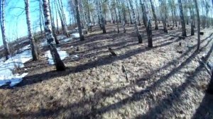 Пневматическая винтовка для охоты. Пристрелка перед охотой на утку.