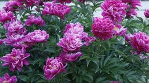 Ничего просто так не случается