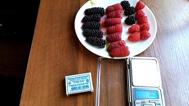 ежевика, малина - вес и размер ягод, сорта карака блек, лох тей, пшехиба, энросадира. смотреть онлайн