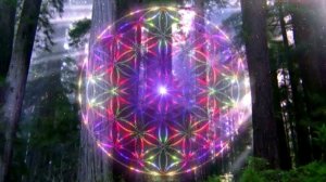 Медитация "Цветок Жизни"/ Meditation "Flower Of Life", сакральная геометрия