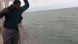 Its On Fishing, Fishing Longisland: Coney Island Pier Fishing