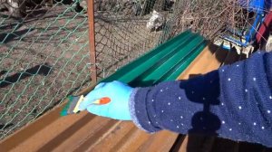 Птице нужен комфорт 😊Строим загончик💪 Переселяем цыплят🐤Живем в своем доме 🏡😼🐔🍏🌹🌼🍒