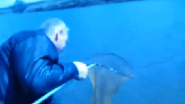 Зарыбление реки Быстрой, 2018 смотреть онлайн