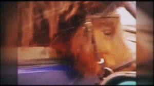 Лучшая озвучка животных. Подборка