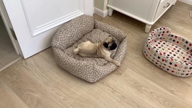 МОИ Вредные привычки!