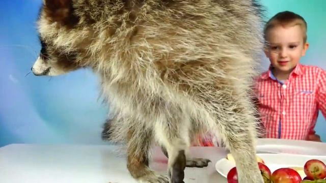 Обычная Еда против Мармелада - Челлендж! Мама ПЛАЧЕТ! Real Food vs Gummy Food - Candy Challenge смотреть онлайн