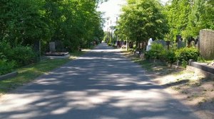 Показываю, как пройти к могиле Сергея Богаева - основателя и лидера хард-рок-группы "Облачный край"
