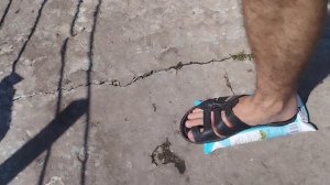 VID_20230706_143413.mp4