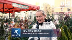 Сад мечты с саженцами Зеньковского питомника! Лучшие деревья и кустарники от производителя