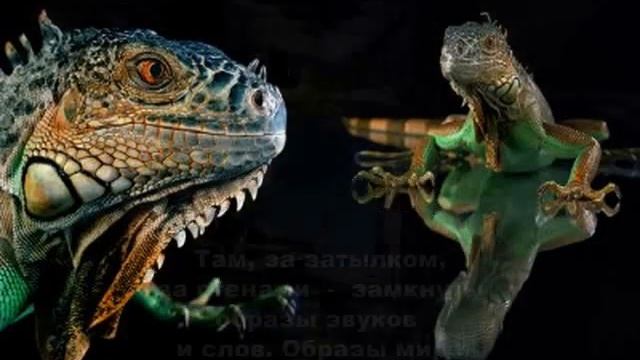 Танка Осени.wmv смотреть онлайн