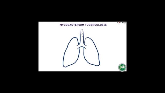 Бактериальные инфекция и ихпроявление смотреть онлайн