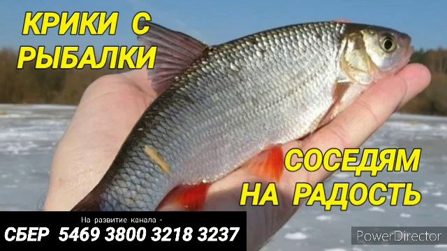 Ответ шумным соседям. Крики с рыбалки смотреть онлайн