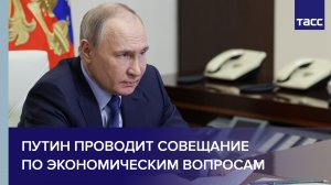 Путин проводит совещание по экономическим вопросам