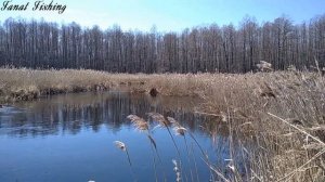 Открытие летней рыбалки на микро-речке. Плотва на поплавок.