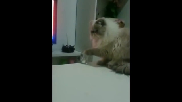 Эээй