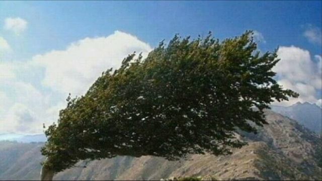 Расскажи мне, полынь Муз П Антипина,ст С Аненковой,поет Г Погорельская смотреть онлайн