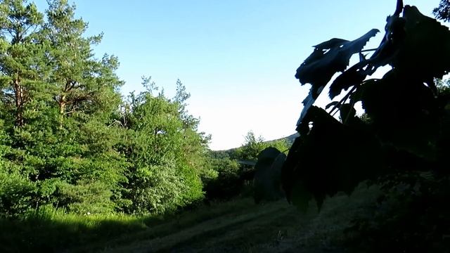 Мелодии летнего утра смотреть онлайн