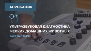 Ветеринарная ультразвуковая диагностика мелких домашних животных. Базовый курс.