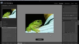 Basic Photo Editing in Adobe Lightroom 3