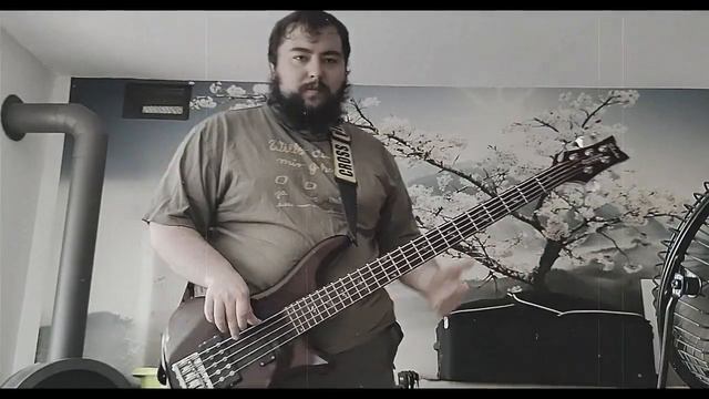 Metallica - The Unforgiven III (bass cover + tabs in description) смотреть онлайн