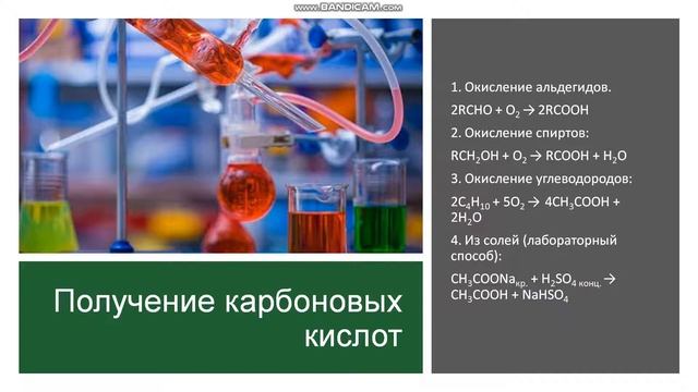 10 класс. Карбоновые кислоты