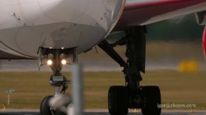 Боинг 777 чартерной авиакомпании Royal Flight на рулении в аэропорту Шереметьево.