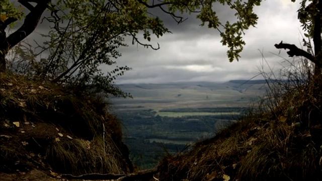 Audio R. SCHUMANN part II Violin Sonata n. 2 op. 121 in D minor - Sunny RohDmytro Sukhovienko