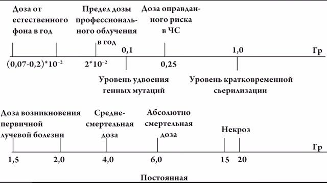 24 Действие ионизирующих излучений на организм