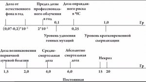 24 Действие ионизирующих излучений на организм