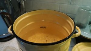 Как сохранить собранные грибы. Рецепт консервирования белых грибов в маринаде. Грибные заготовки