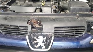 Замена штатной оптики на иранскую Peugeot 206