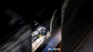 А 169  W  169 АБС ABS  Заднее правое колесо .Развалилось магнитное кольцо стёрся датчик.