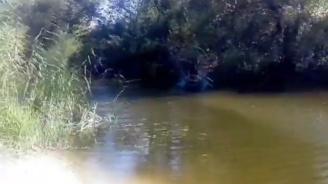 аэролодка из паромотора